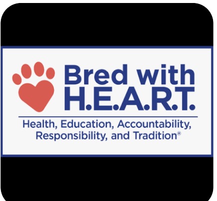 AKC Bred with H.E.A.R.T. — Health, Education, Accountability, Responsibility, and Tradition